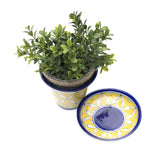 Blue Pottery Planter - Yellow - Matr Boomie (Pottery)